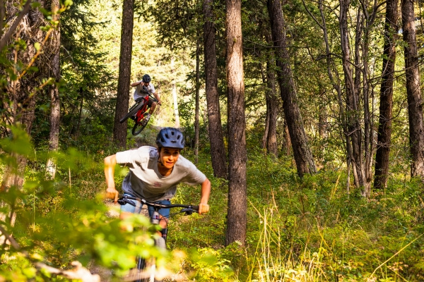 Mountainbike kaufen