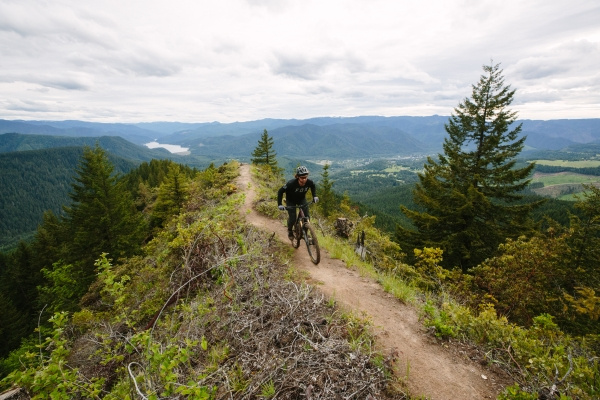 Mountainbike kaufen
