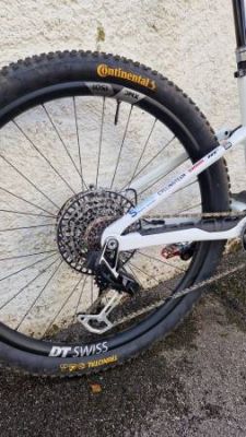Custom Bikes