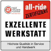 Velo Reparatur